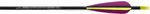 Beman ICS Venture Arrows Dozen image